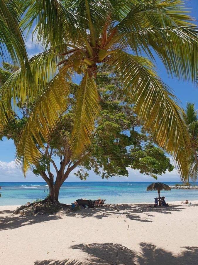 Ti.Maanga Vue Mer Pieds Dans L'Eau Saint-Francois  Buitenkant foto