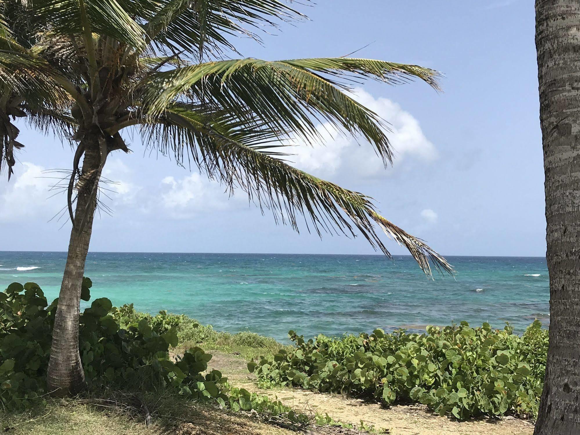 Ti.Maanga Vue Mer Pieds Dans L'Eau Saint-Francois  Buitenkant foto