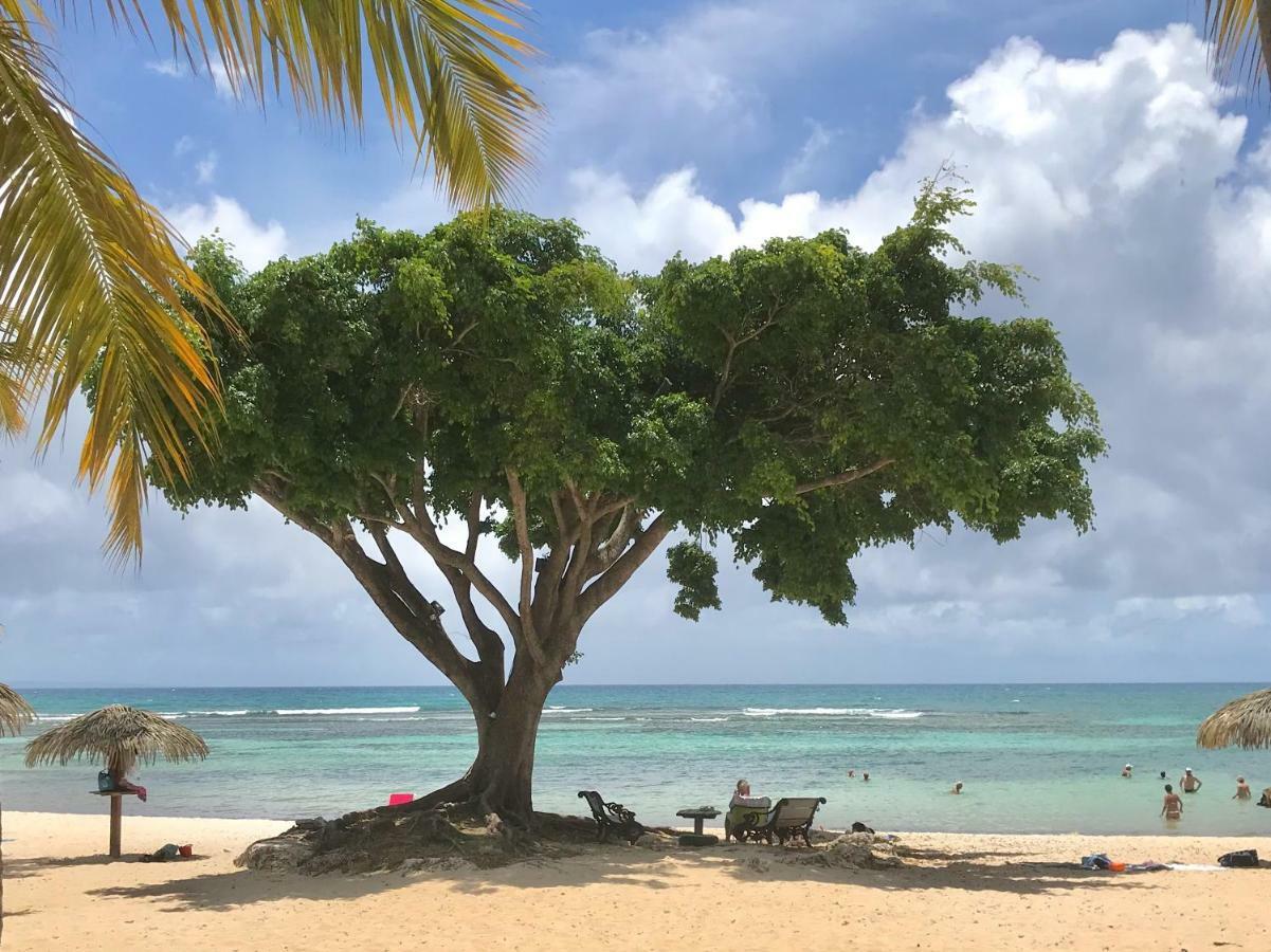 Ti.Maanga Vue Mer Pieds Dans L'Eau Saint-Francois  Buitenkant foto